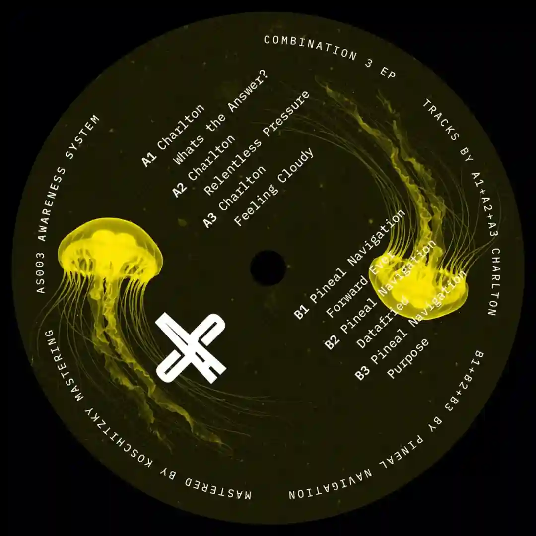 Datafried (Original Mix) cover