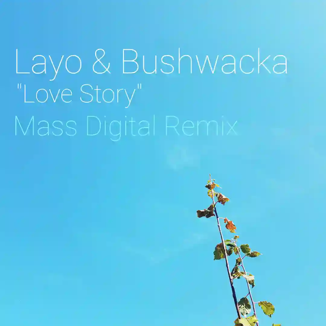 Love Story (Mass Digital Remix) cover