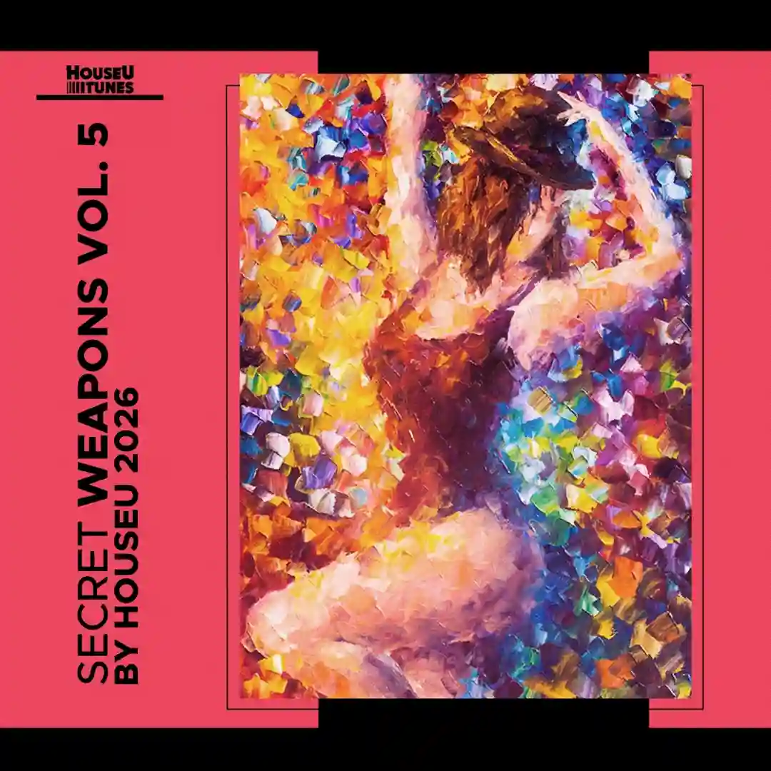 In the House (Extended Mix) cover