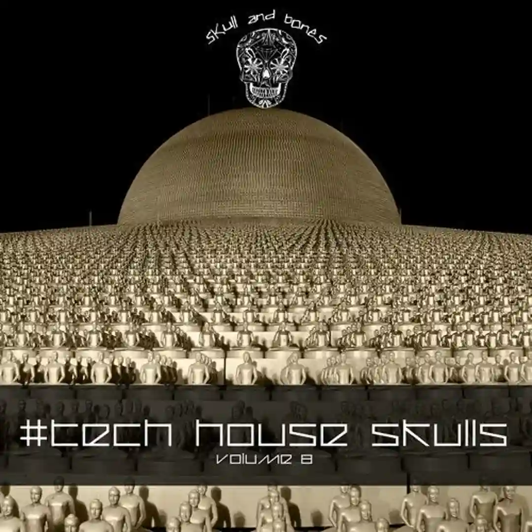 Shaman (Original Mix) cover