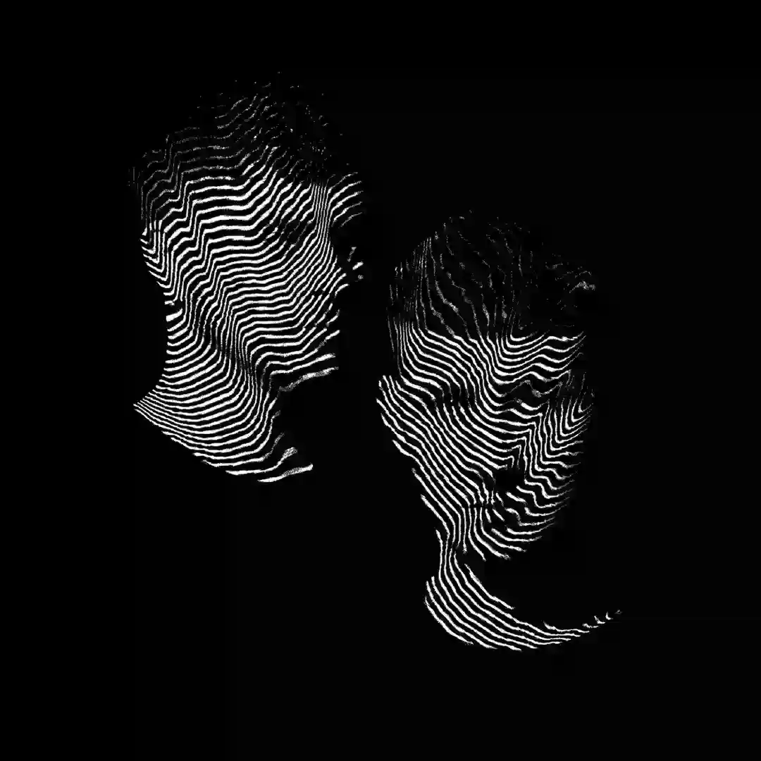 Picture: Disfreq cover