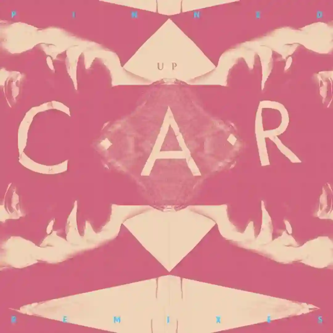 PINNED UP cover