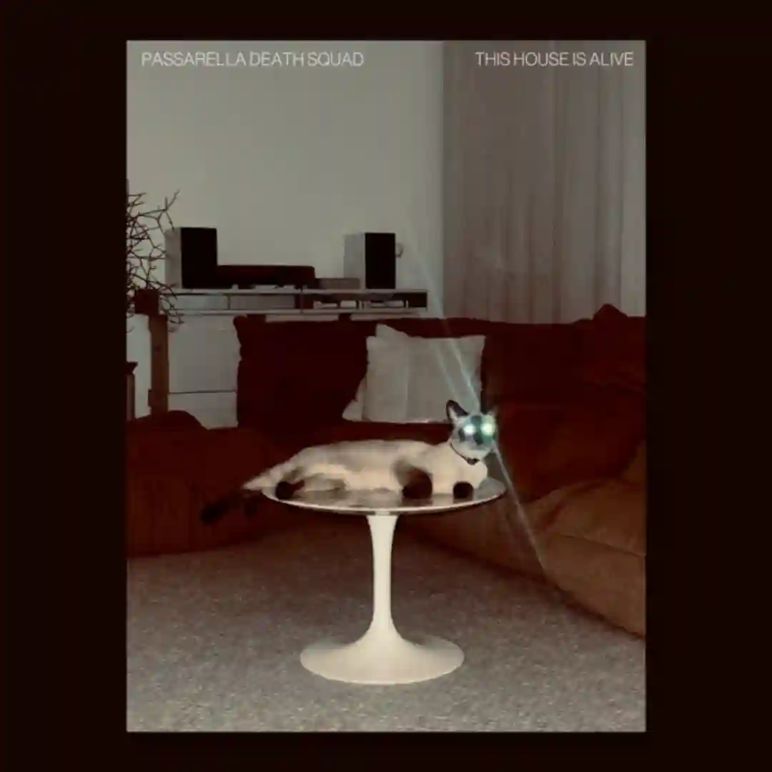 This House Is Alive (Original Mix) cover