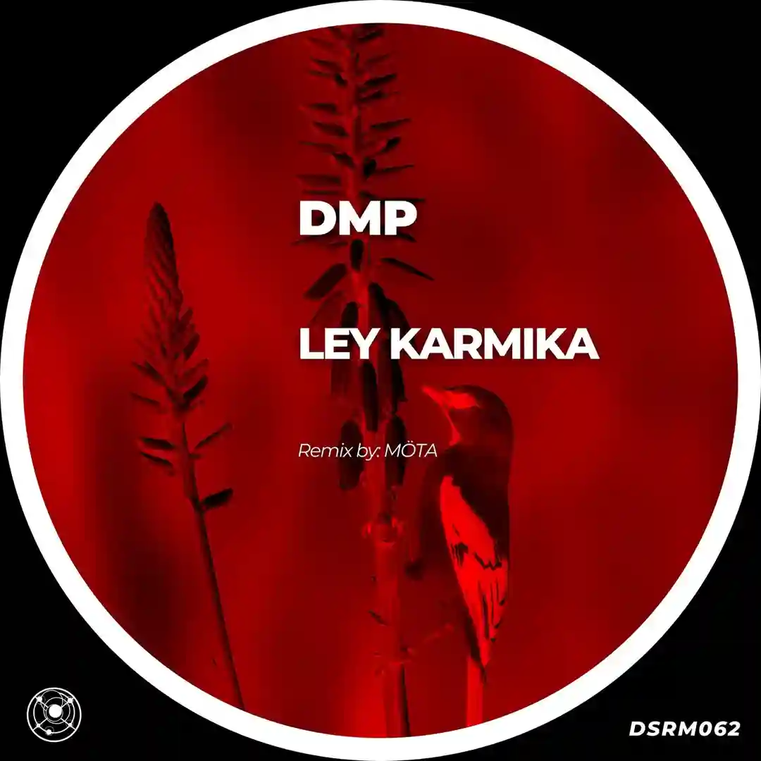 Ley Karmika (Original Mix) cover