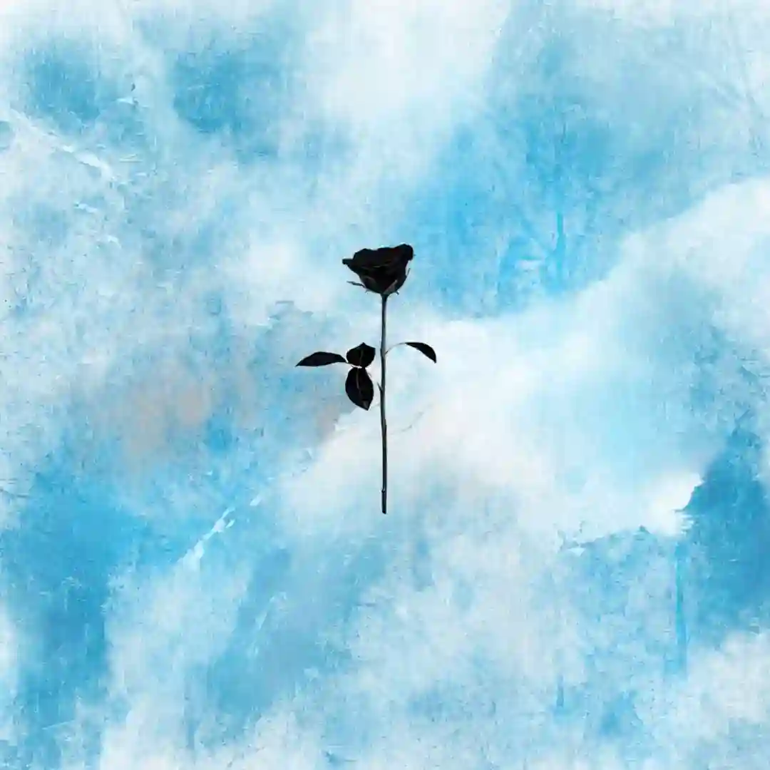 Felicity (Original Mix) cover