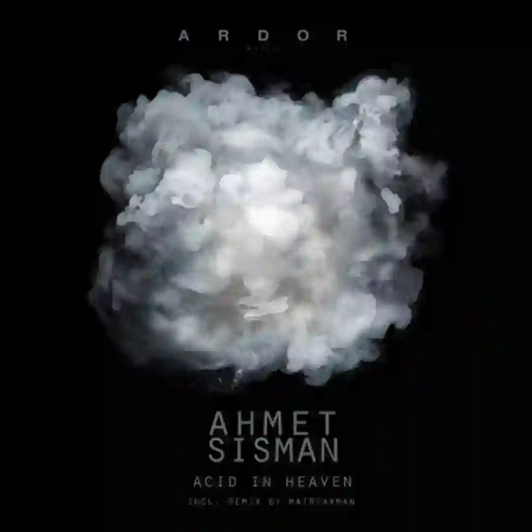 Acid in Heaven cover