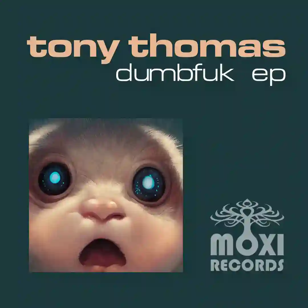 Dumbfuk (Original Mix) cover