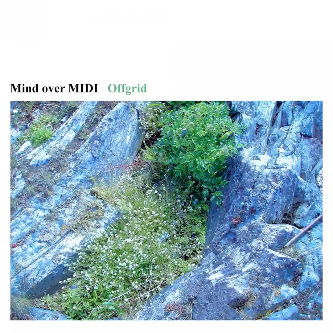 Offgrid 8 (Original Mix) cover