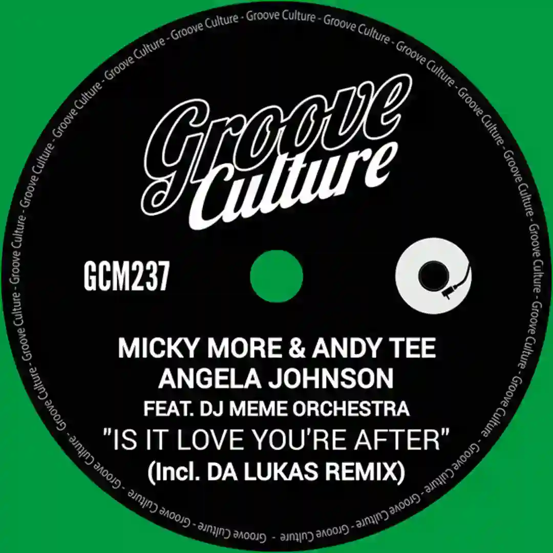 Is It Love You're After (Da Lukas Remix Instrumental) cover