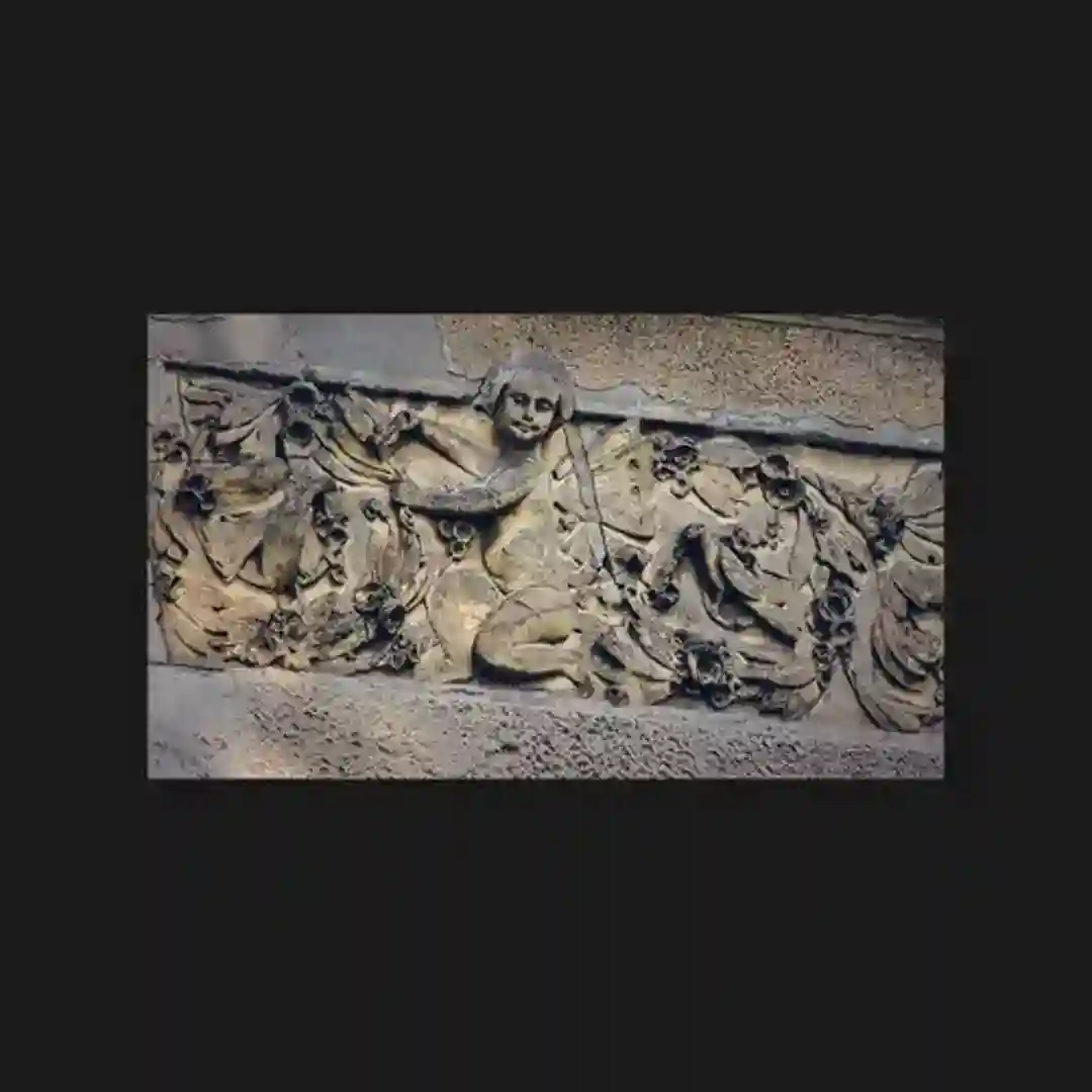 Steps cover