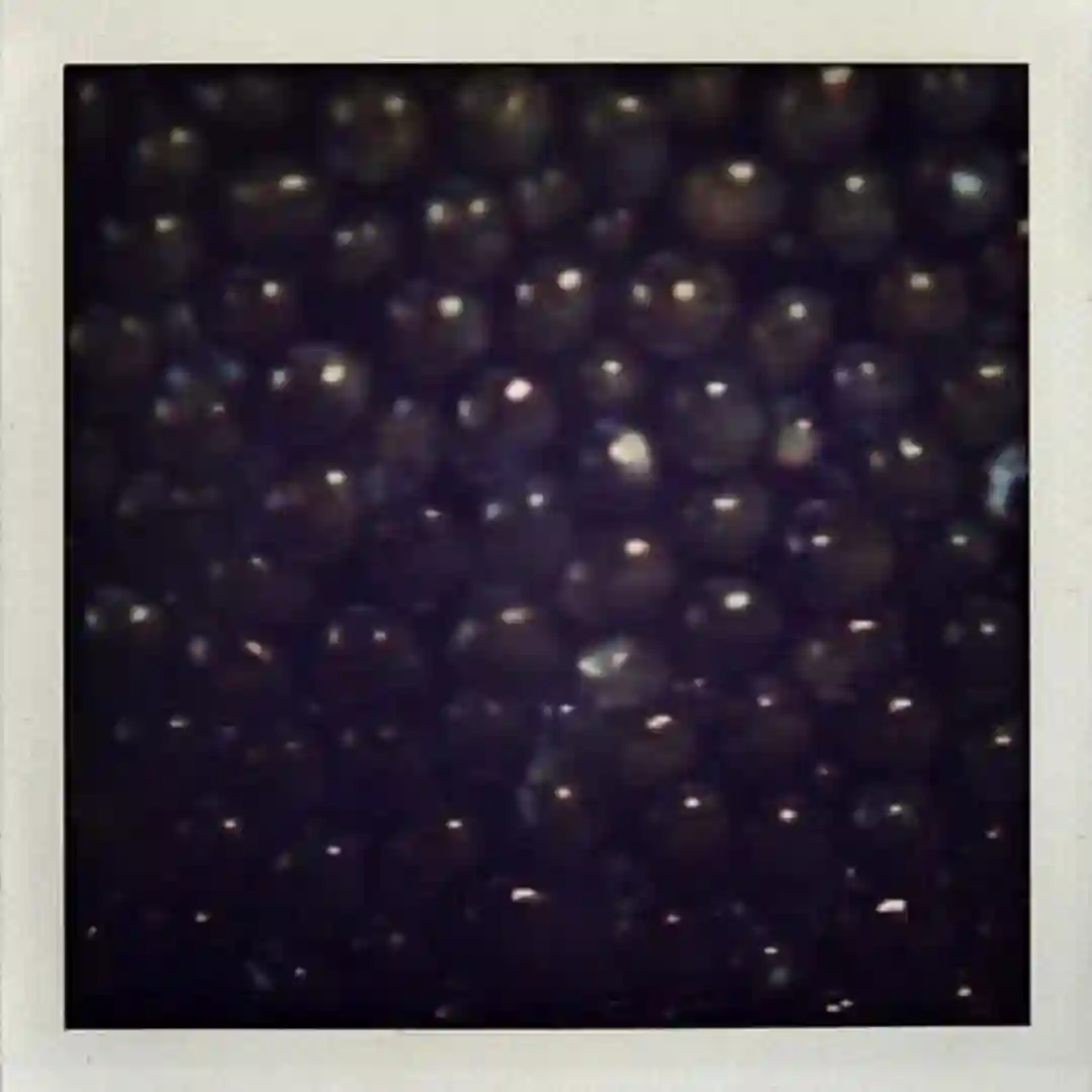 Caviar (Philip Bader, Nicone Remix) cover