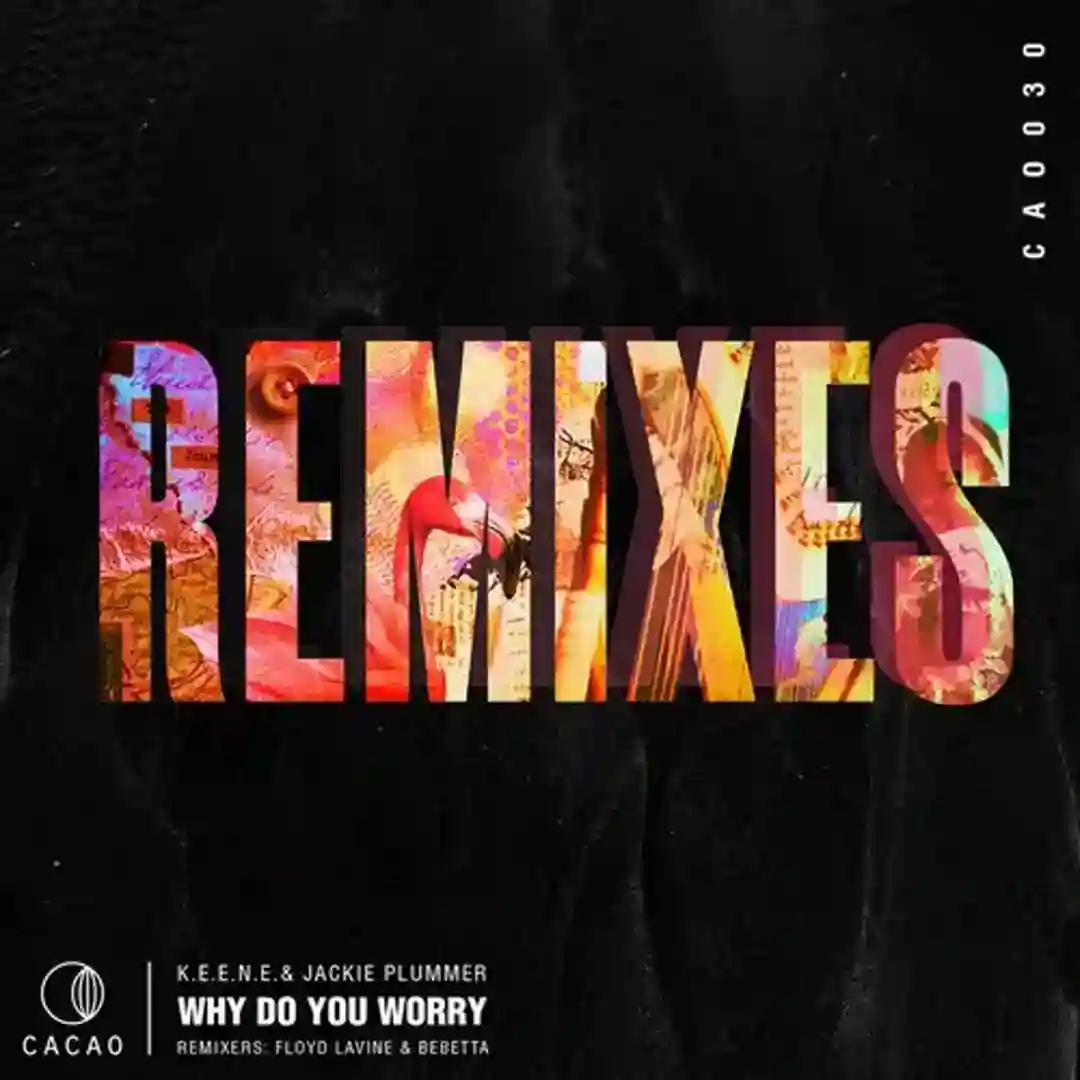 Why Do You Worry Remixes cover