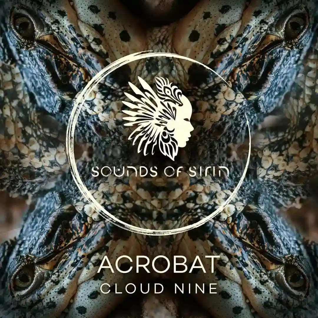 Cloud Nine (Extended Mix) cover