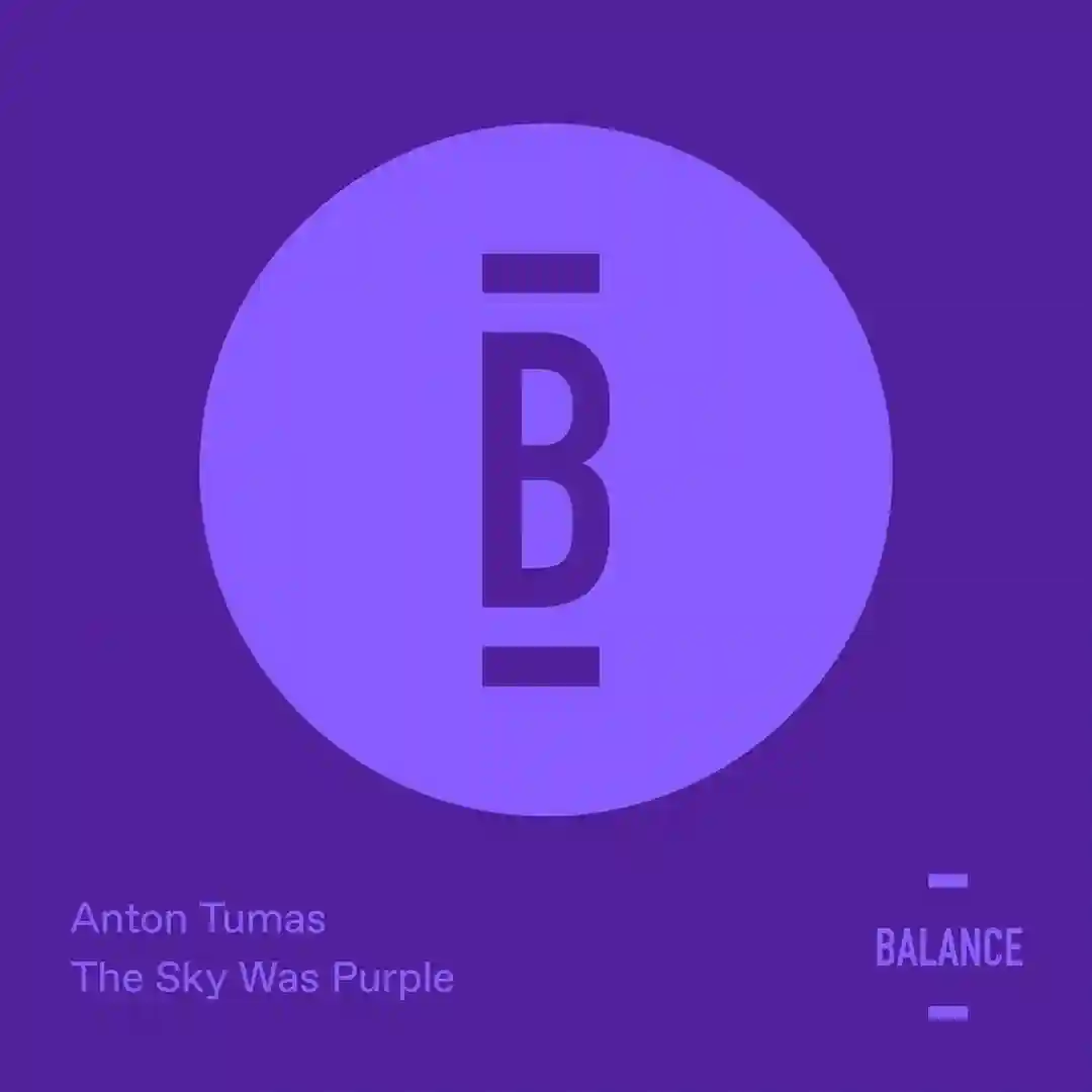 The Sky Was Purple (Jamie Stevens Remix) cover