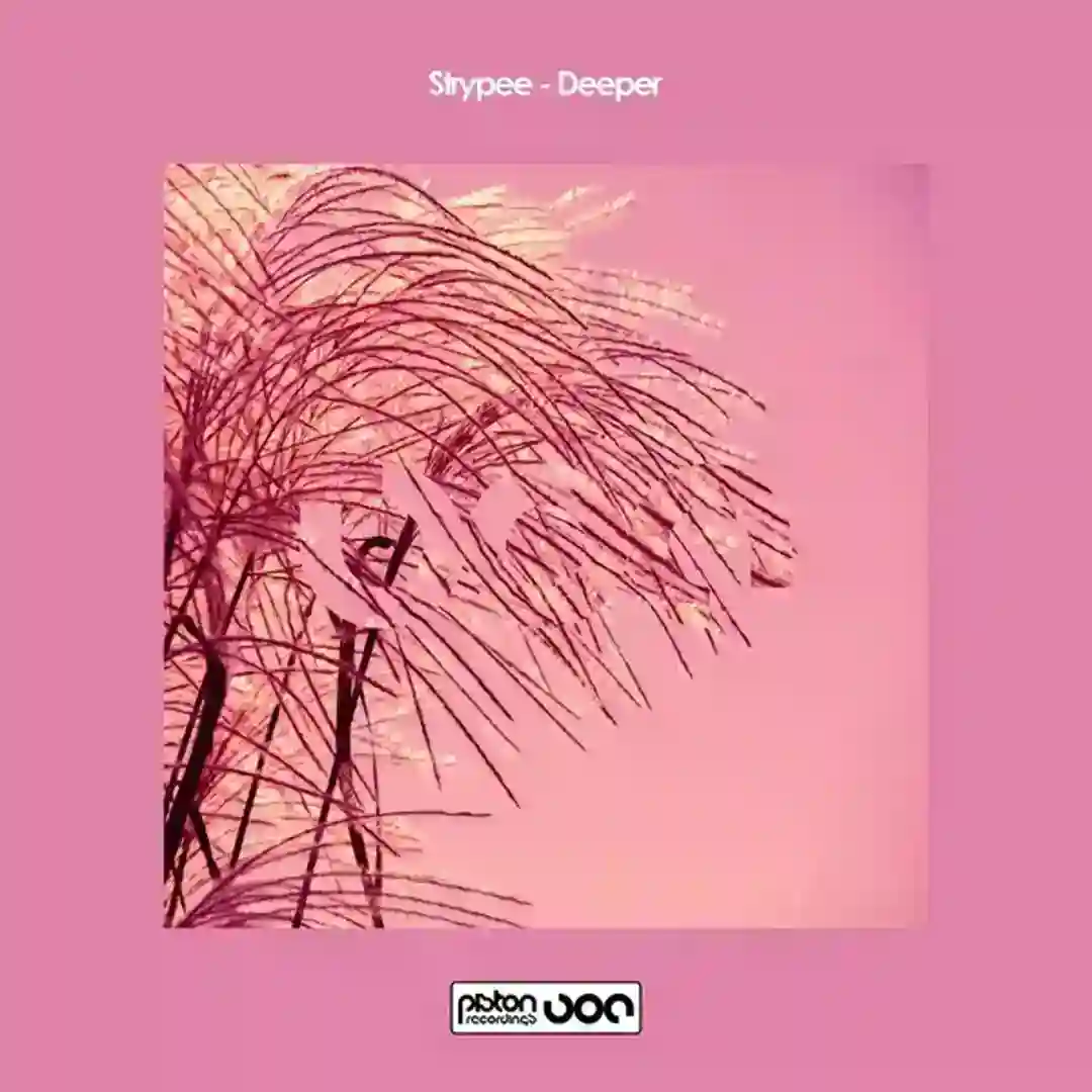 Peter's House (Original Mix) cover
