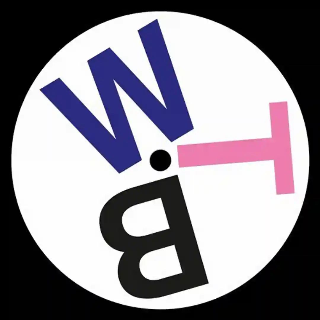 Wonky Techno Banger cover