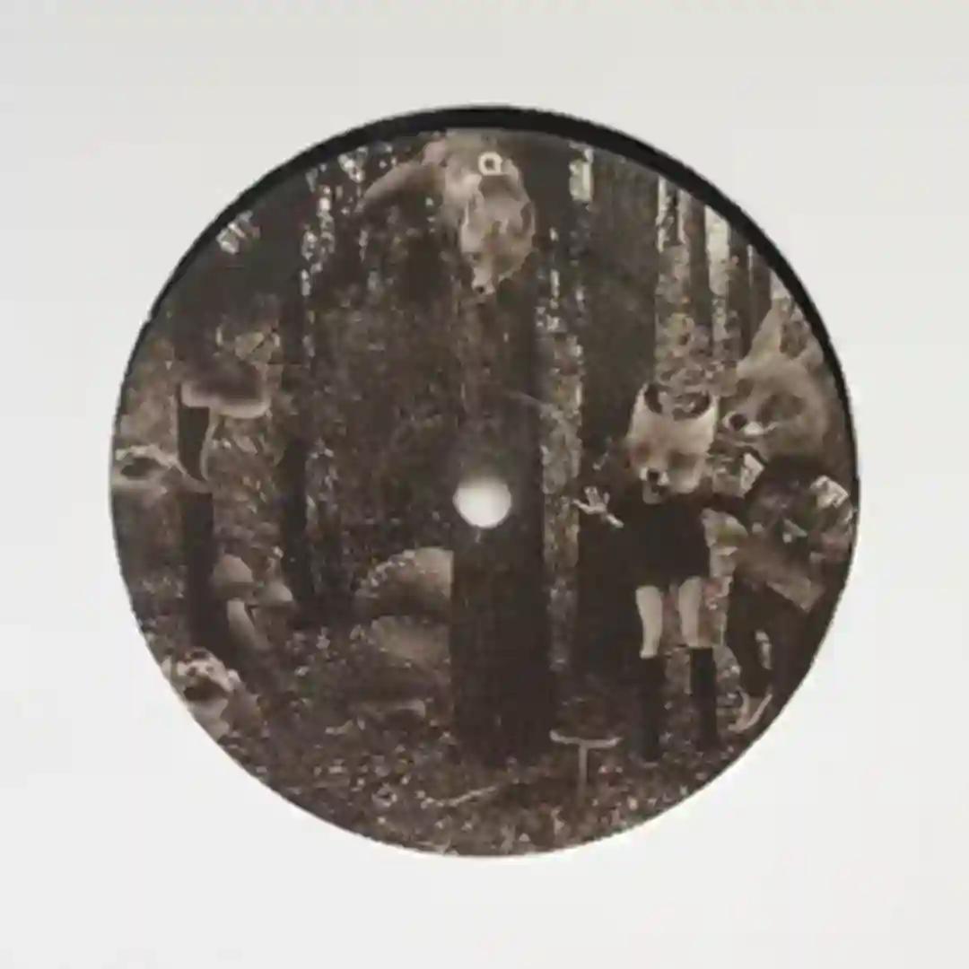 Mistaken Fox (Andy Martin Remix ) cover