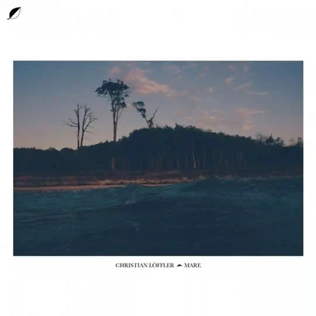 Haul feat. Mohna (Original Mix) cover