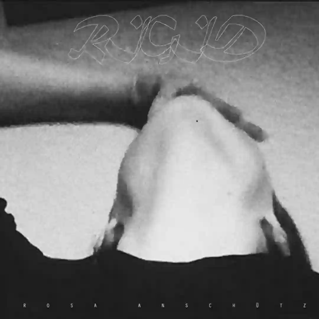 Rigid (Original Mix) cover