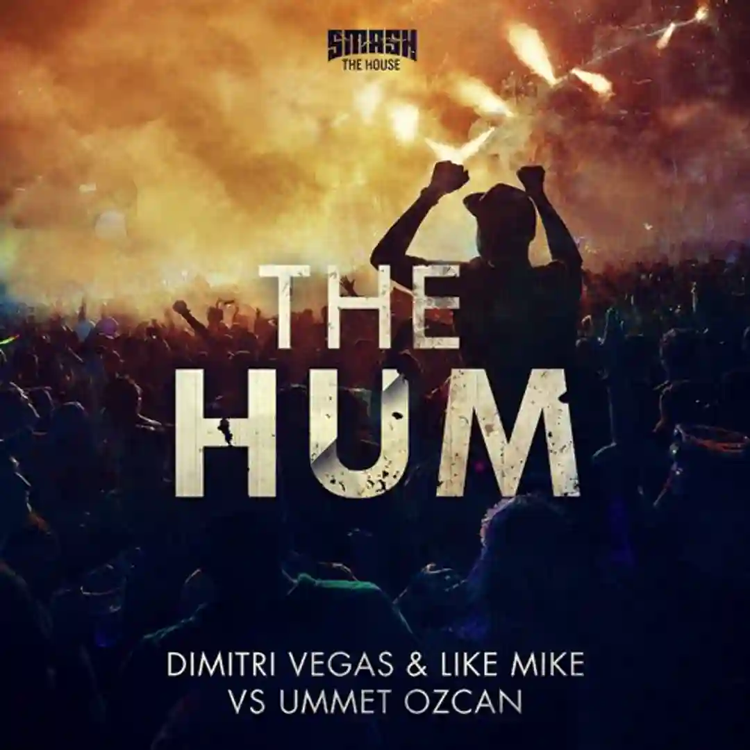The Hum (Original Mix) cover