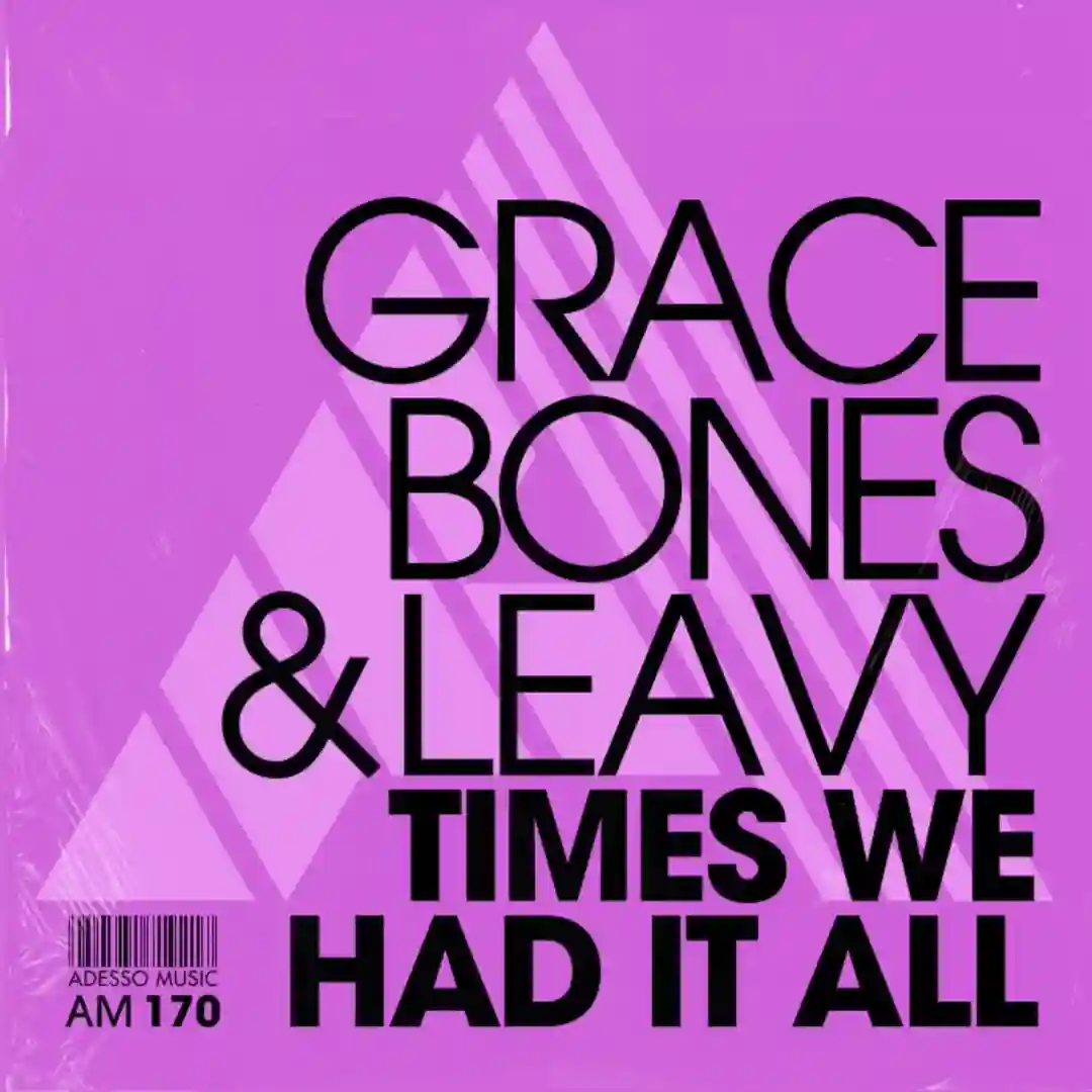 Times We Had It All (Extended Mix) cover
