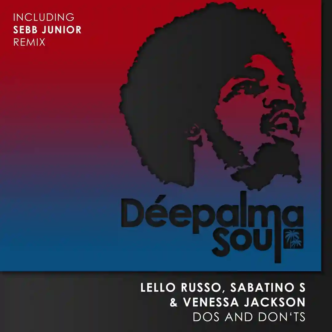 Dos and Don'ts (Incl. Sebb Junior Remix) cover