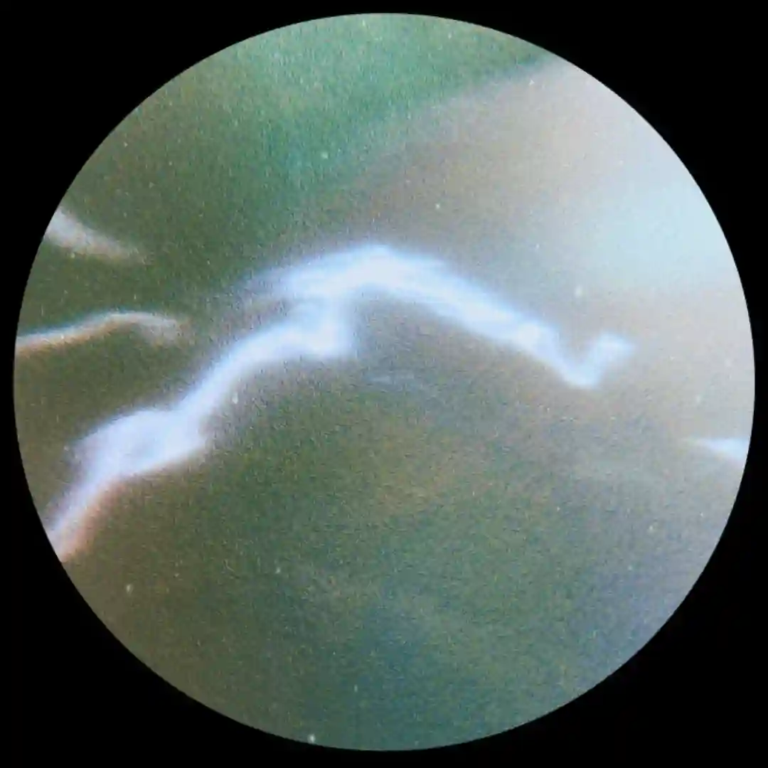 Mobile Frequency Systems (Original Mix) cover