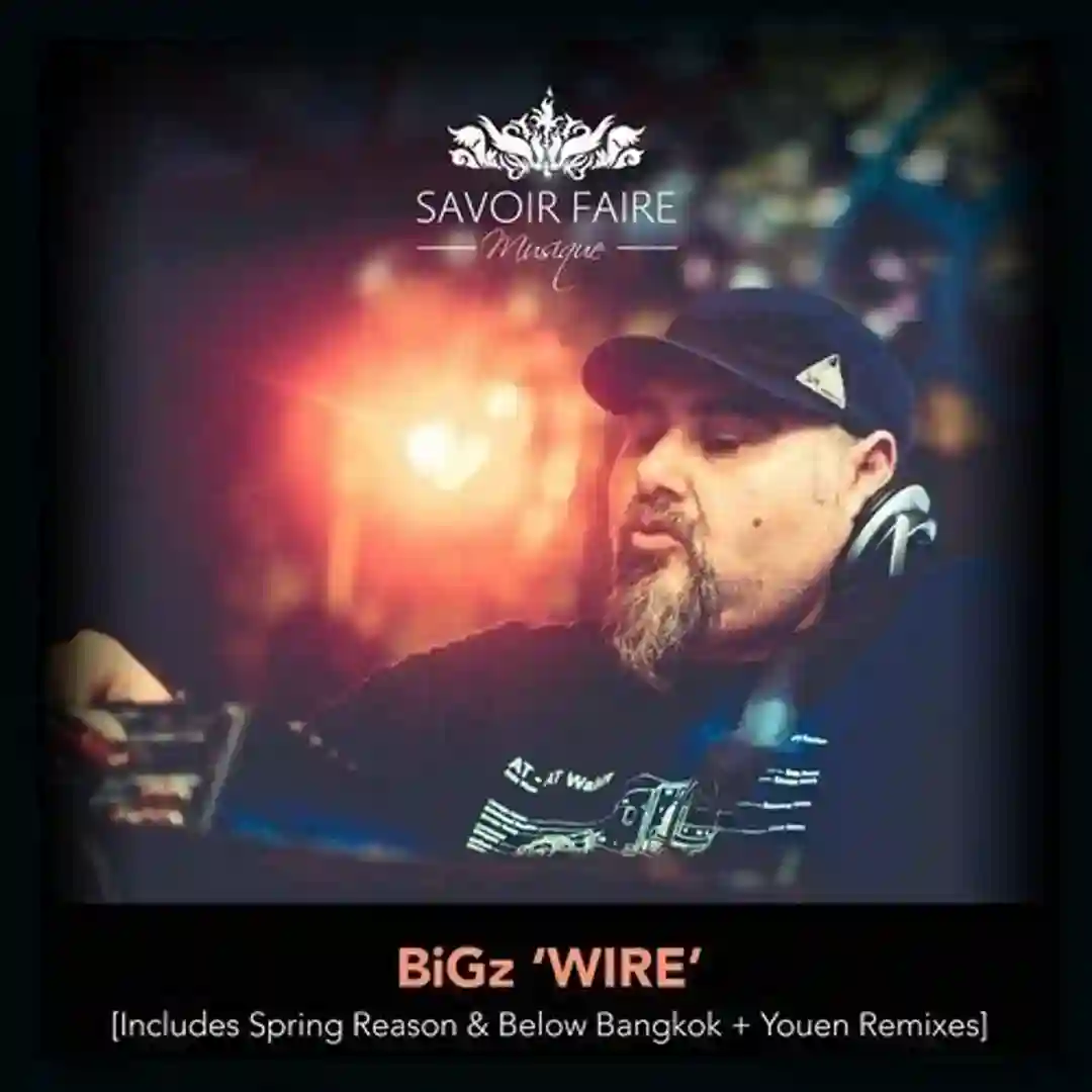 Wire cover