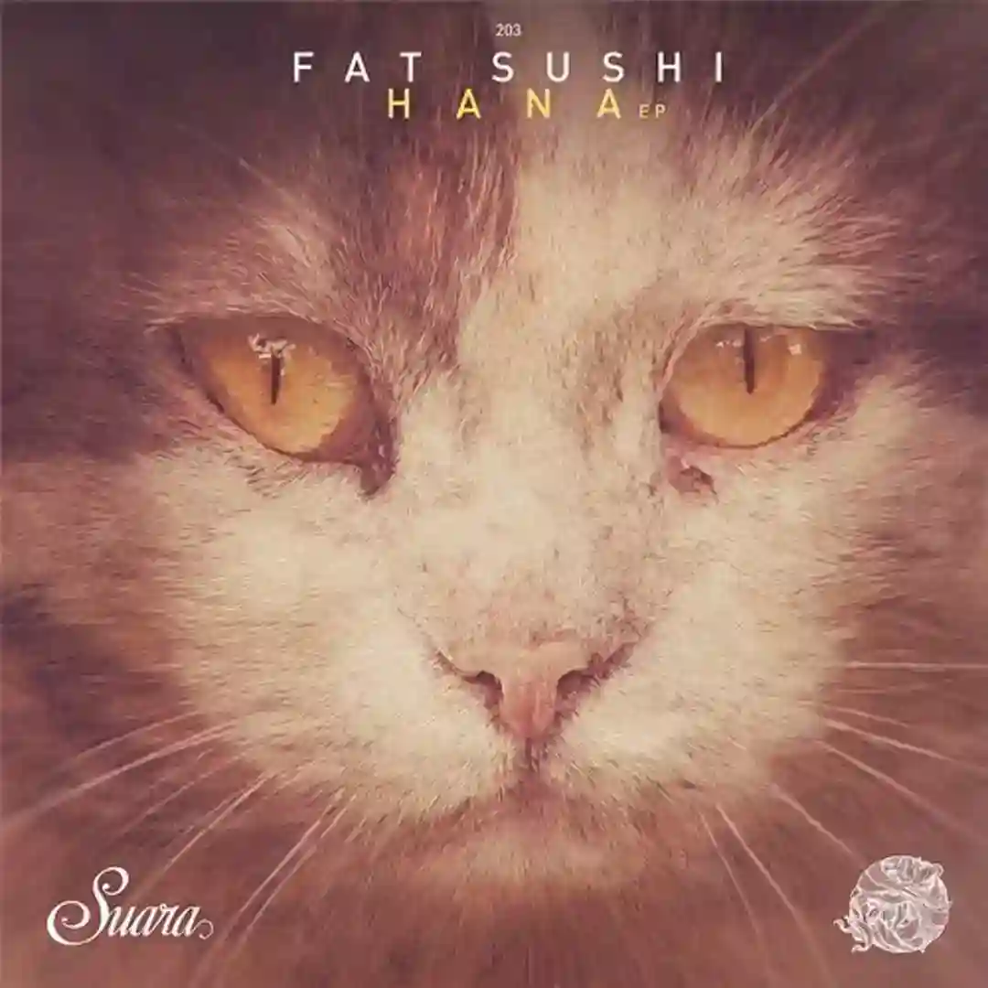 Paia (Original Mix) cover