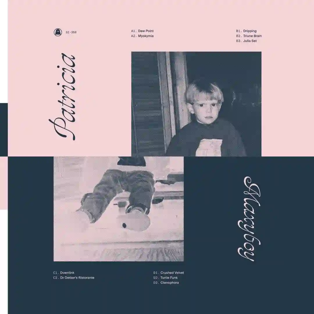 Crushed Velvet cover