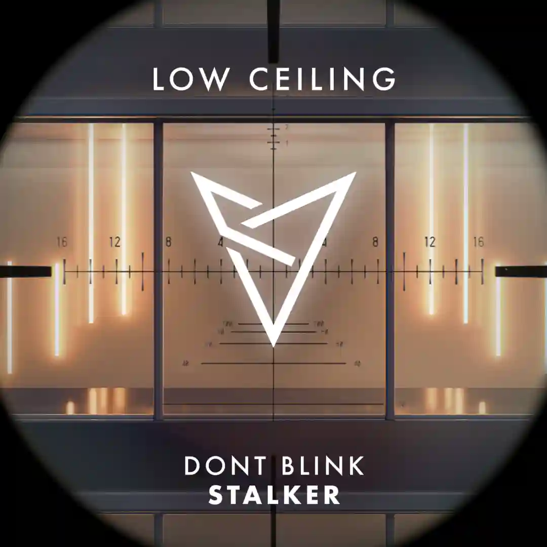 STALKER cover