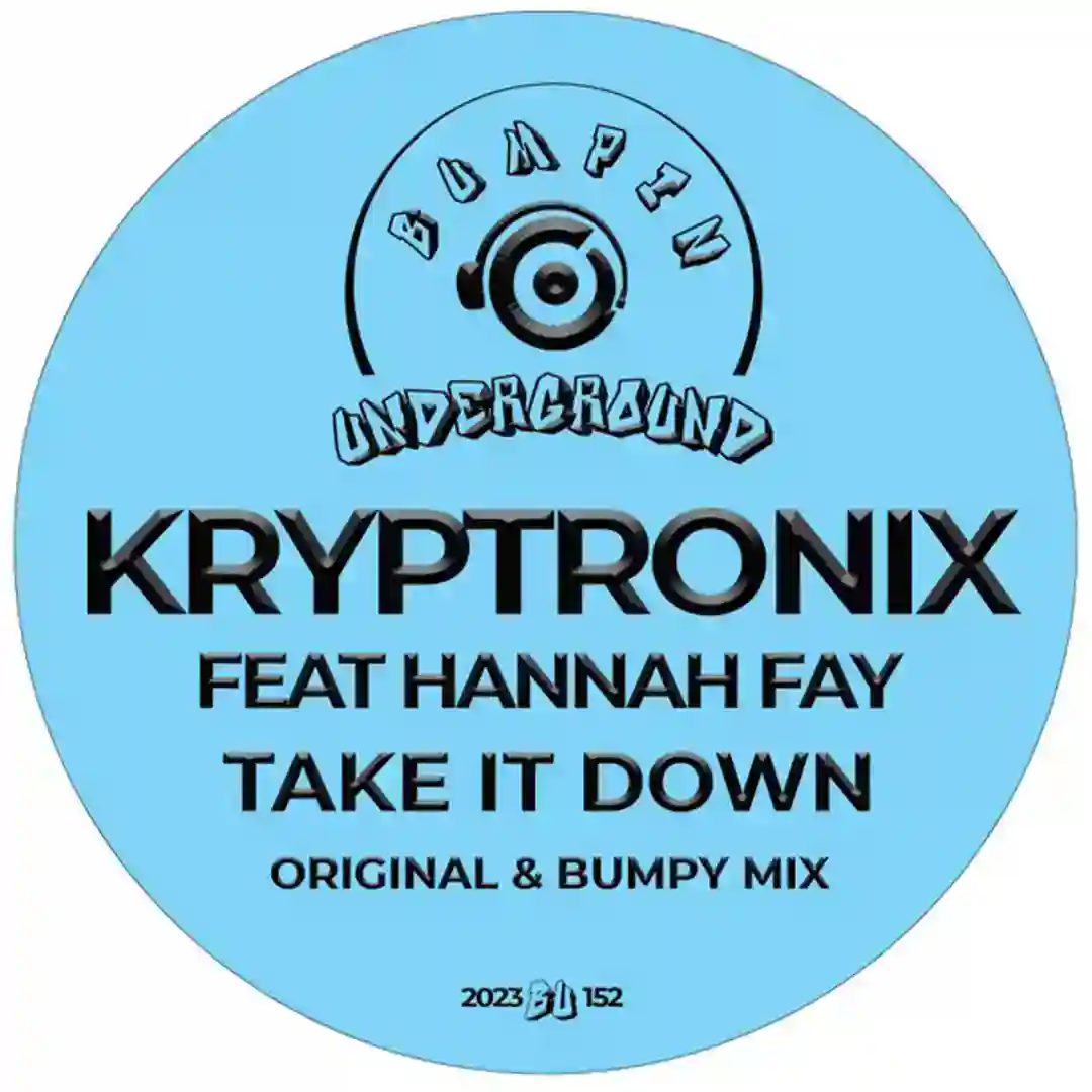 Take It Down (Original Mix) cover