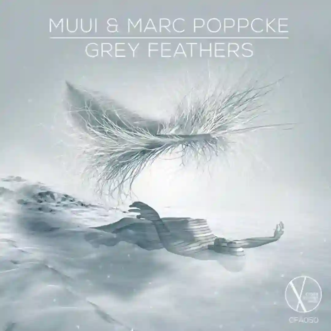 Grey Feathers (Original Mix) cover