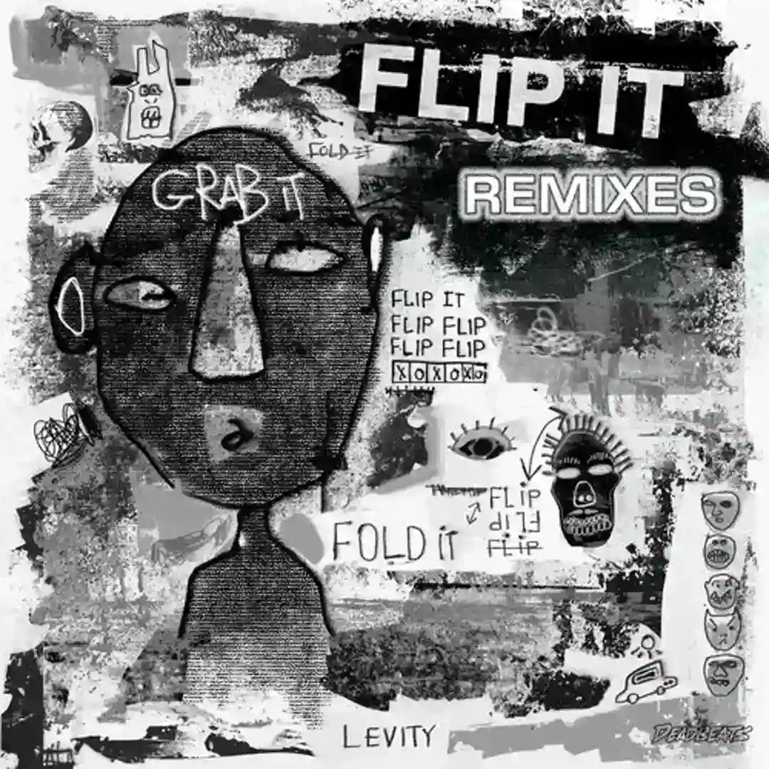 Flip It (Torcha Remix) cover