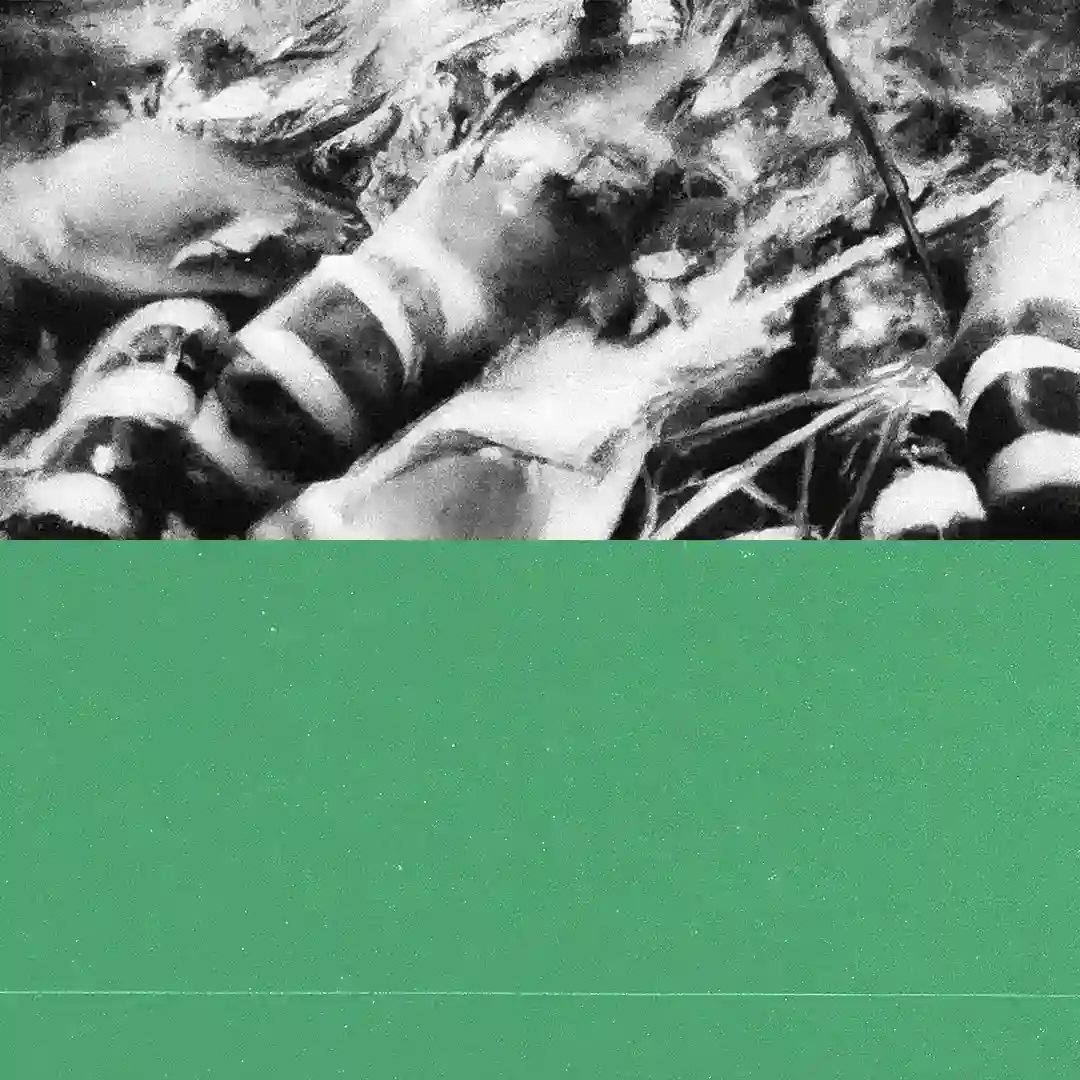 Detail Pursuit cover