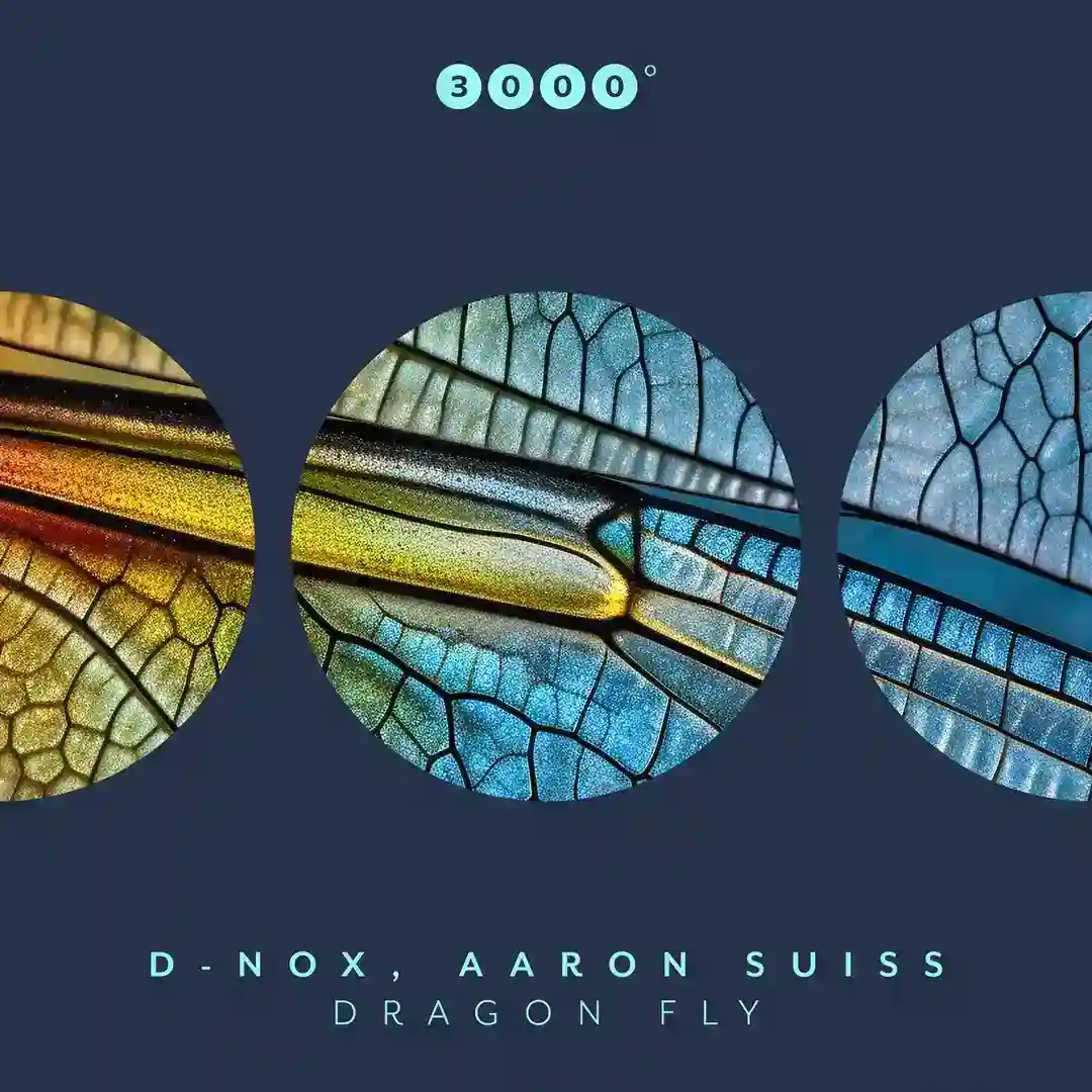 Dragon Fly (Original Mix) cover