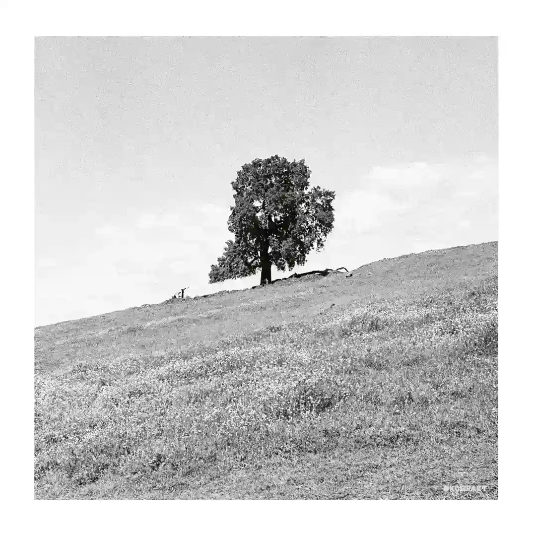 Get Well Soon cover