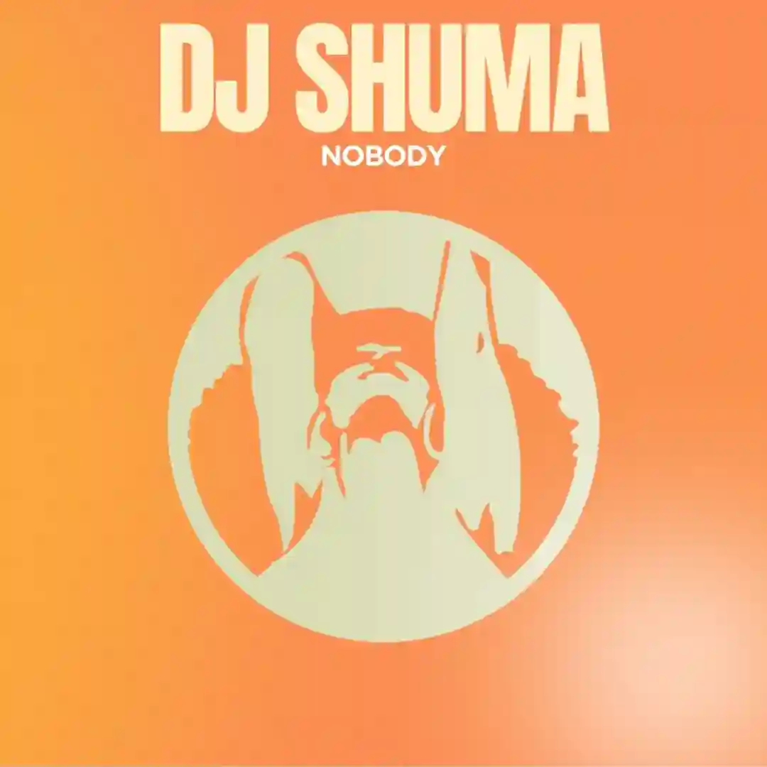 Nobody (original mix) cover