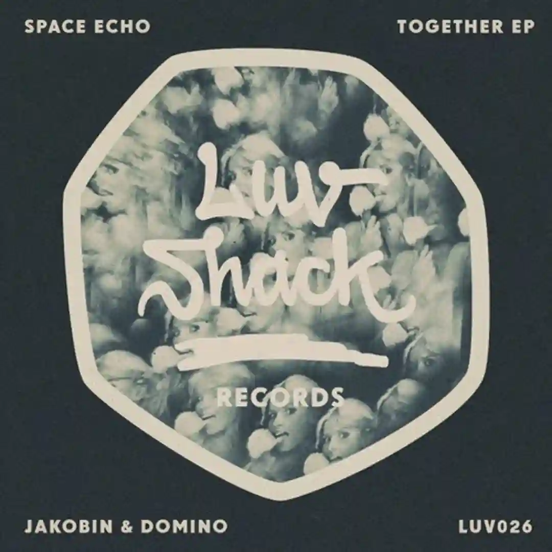 Party Together (Original Mix) cover