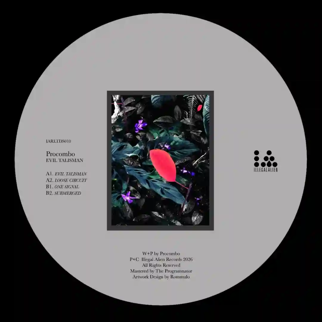 Loose Circuit (Original Mix) cover
