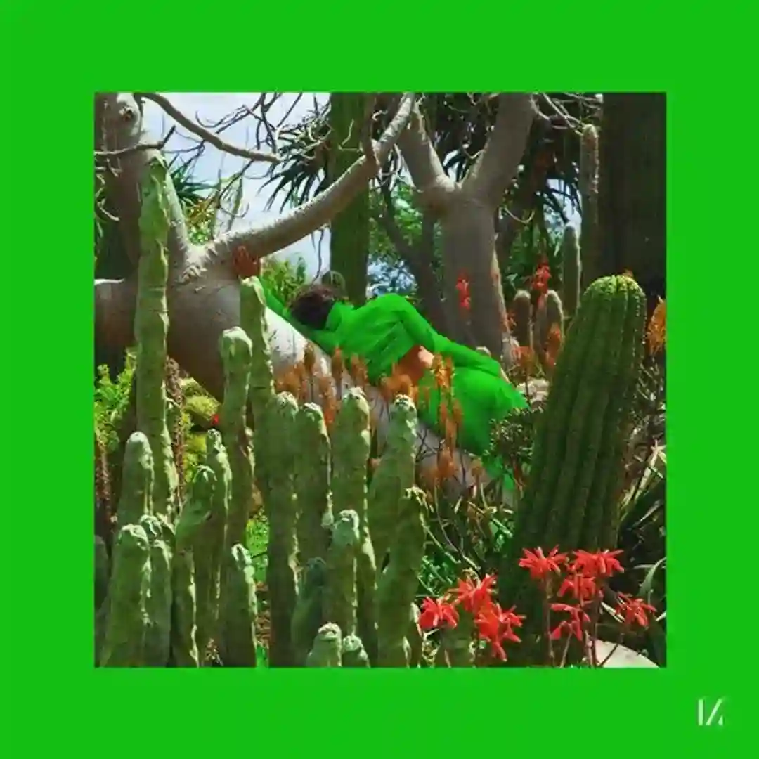 Bats And Birds (Original Mix) cover