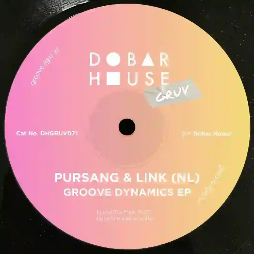 Level The Funk (Original Mix) cover