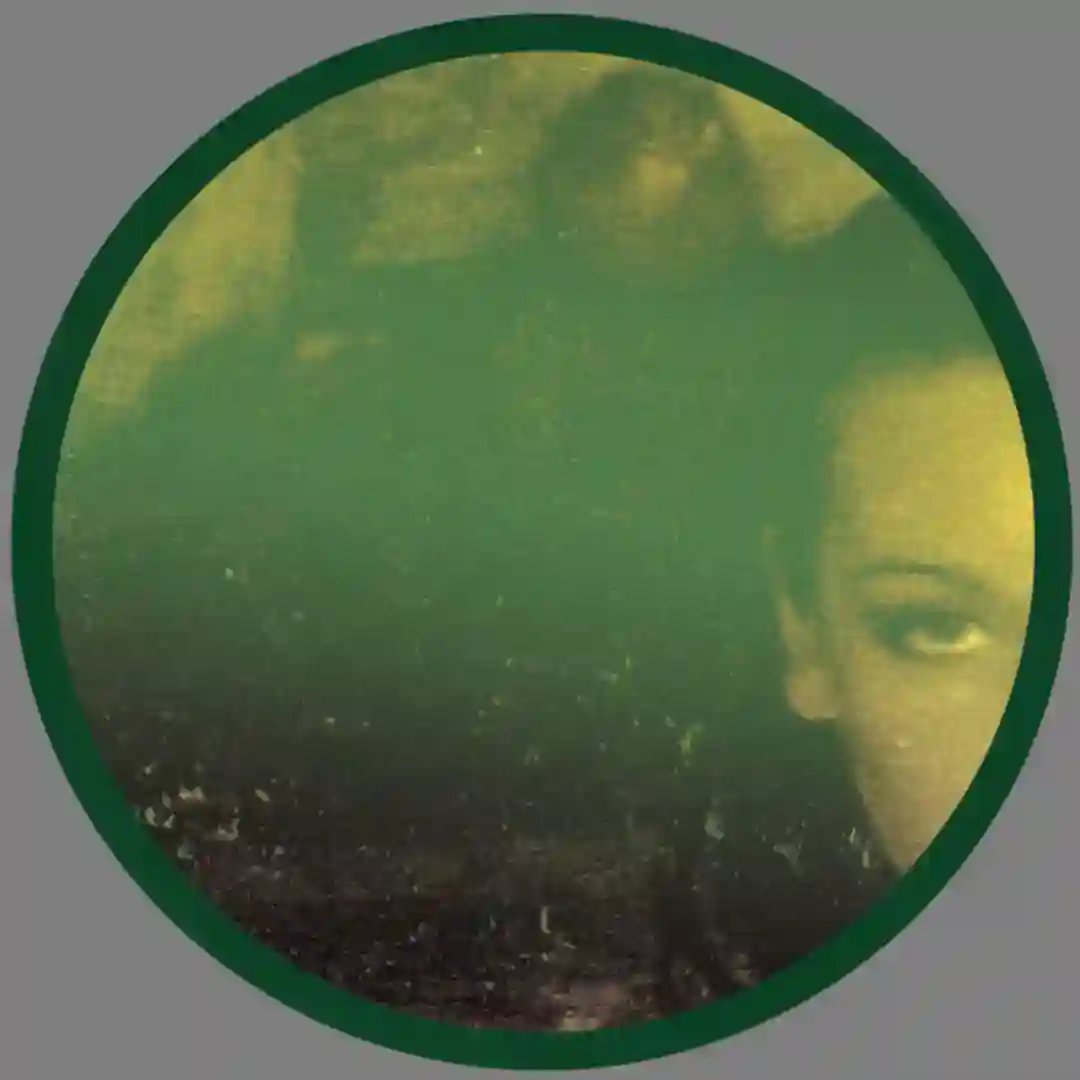 Last Refuge cover