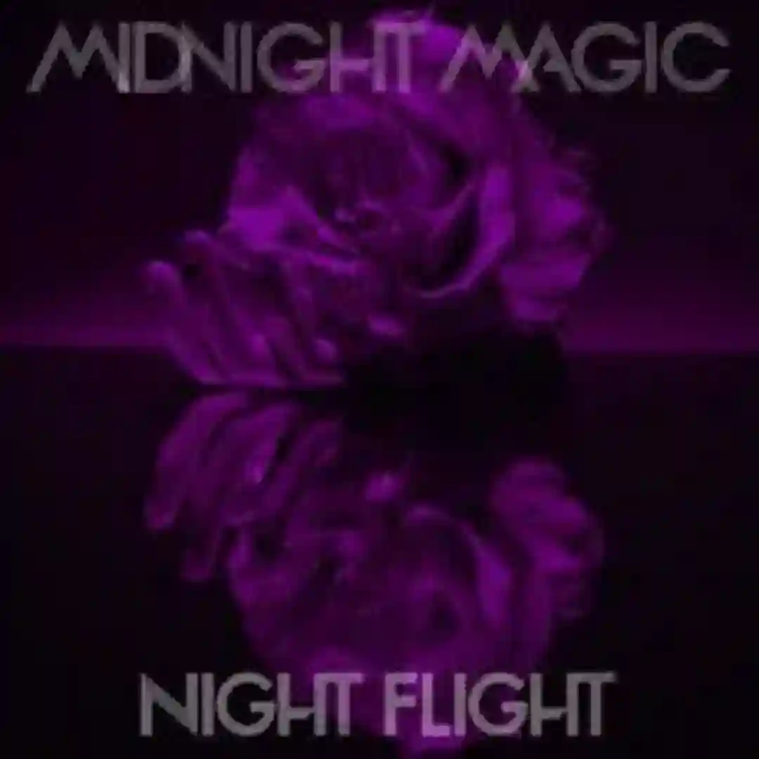 Night Flight (No Regular Play Remix) cover