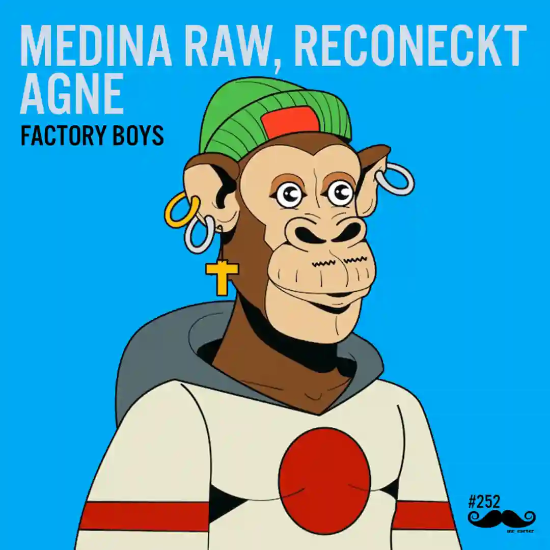 Factory Boys cover