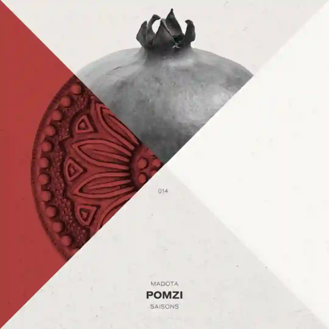 Pomzi cover