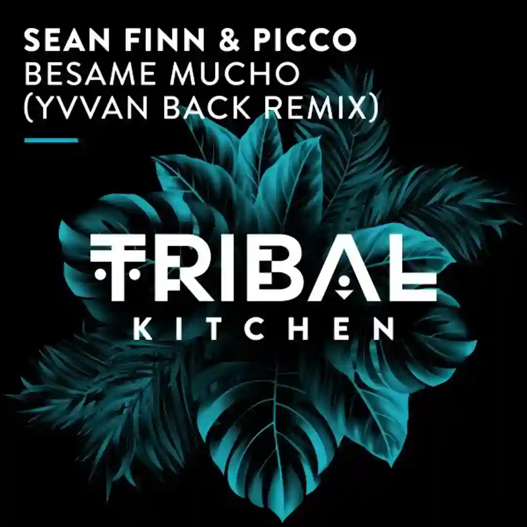Besame Mucho (Yvvan Back Extended Remix) cover