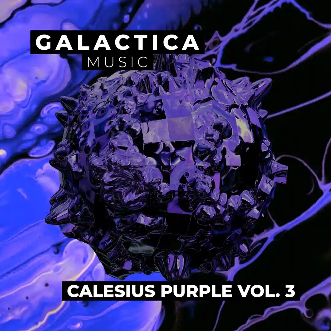 CALESIUS PURPLE VOL.3 cover