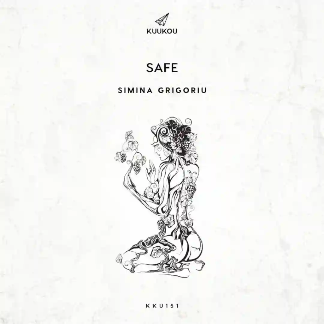 Safe cover