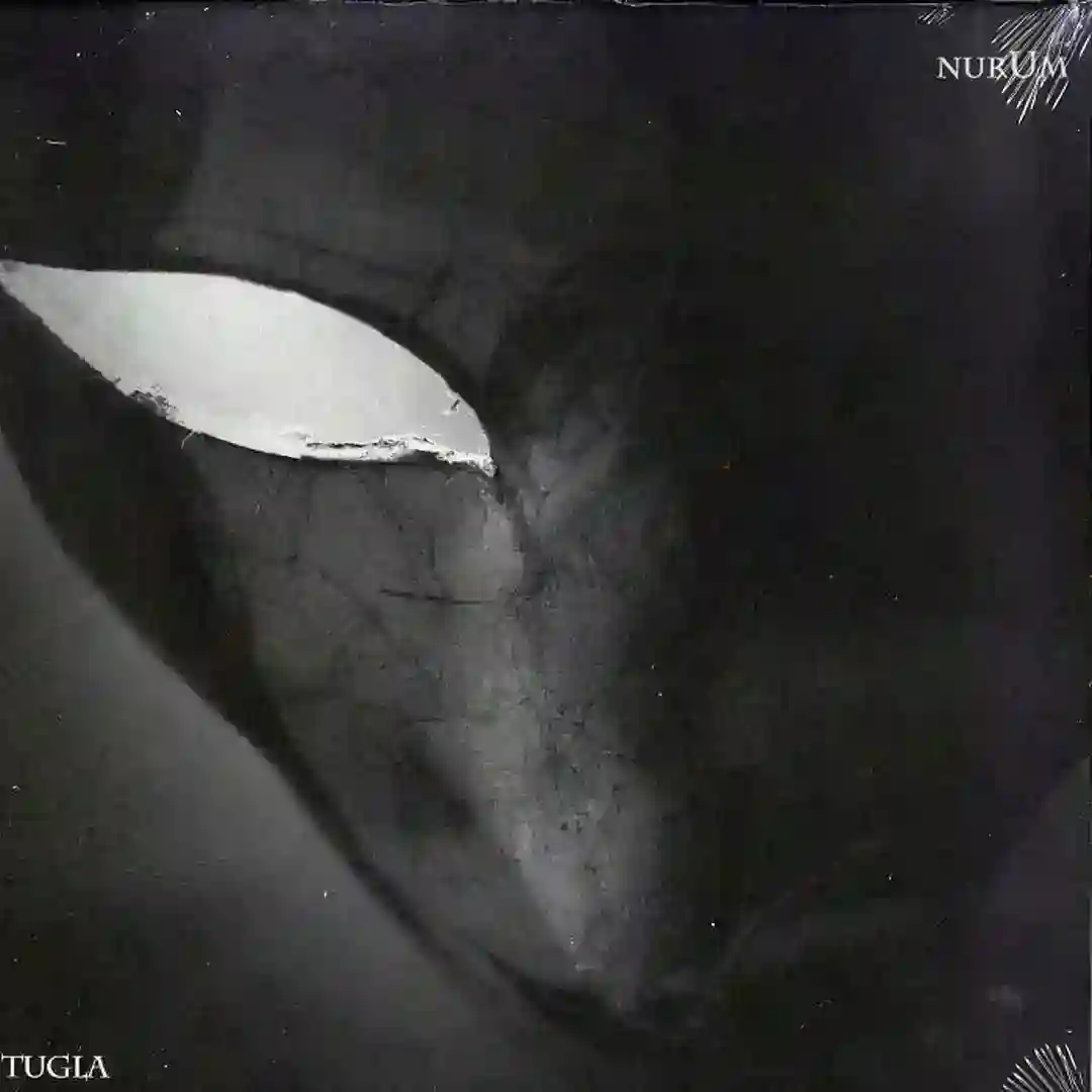 D.O.L. (Sascha Dive's Strip It Down Remix) cover